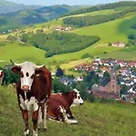 Zur Linde Feriegård Oberharmersbach