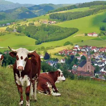 Zur Linde Çiftlik konaklama Oberharmersbach
